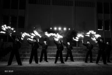 Pineapple Tetrapod Performance Photo