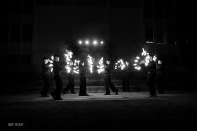 Pineapple Tetrapod Performance Photo