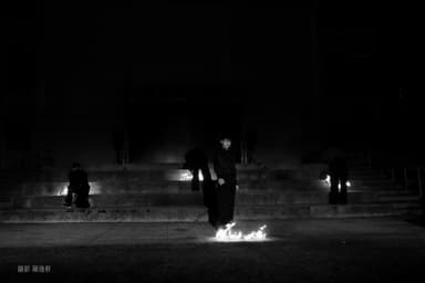 Pineapple Tetrapod Performance Photo