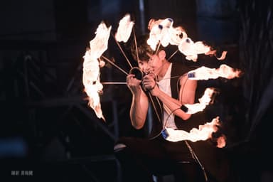 Pineapple Tetrapod Performance Photo