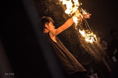 Pineapple Tetrapod Performance Photo