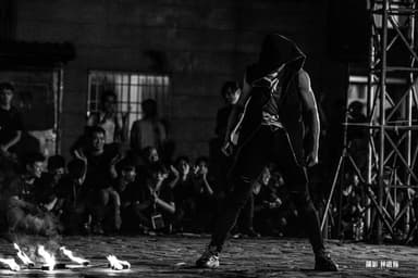 Pineapple Tetrapod Performance Photo