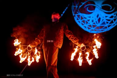 Pineapple Tetrapod Performance Photo
